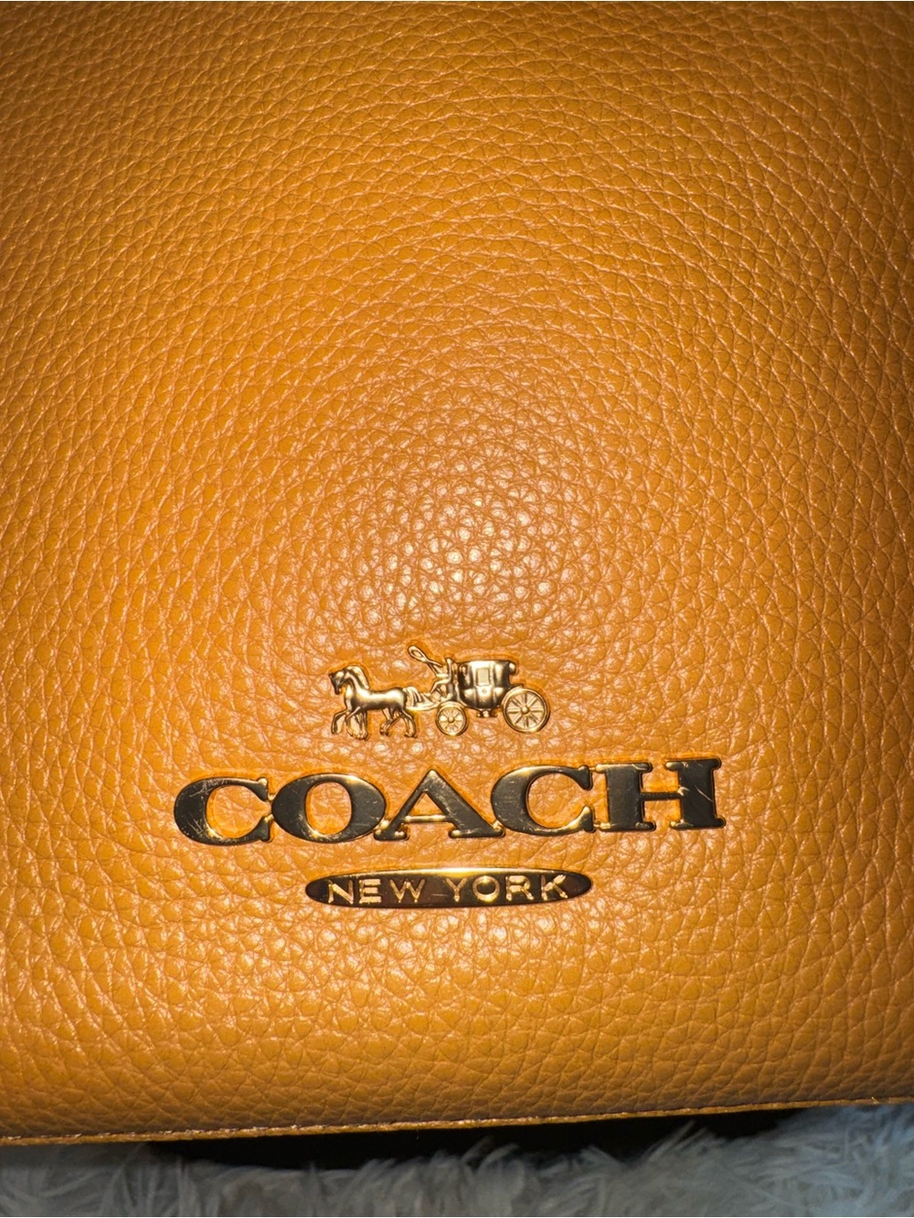 Coach Pebbled Leather Hobo Bag in Caramel - Picture 6 of 11